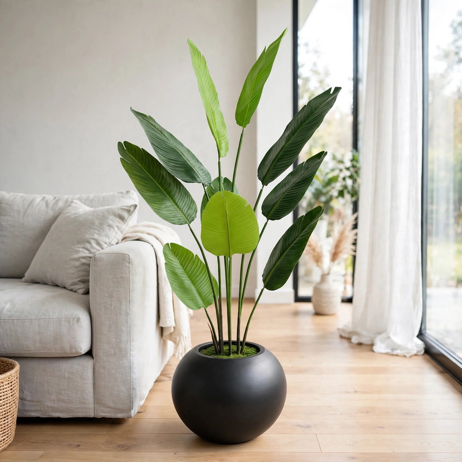 Artificial banana plant 60 inch with black round pot in modern living room