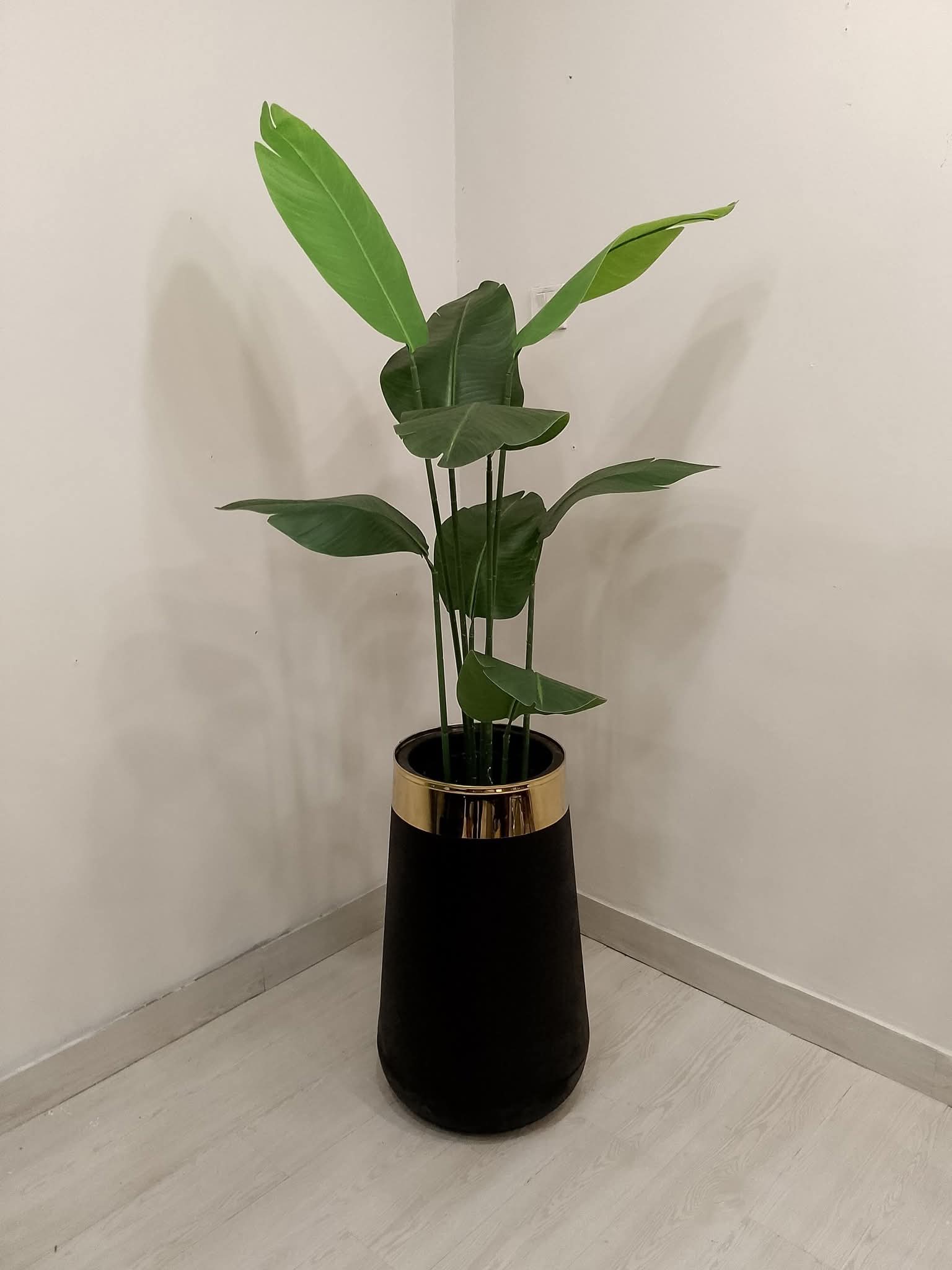 Artificial Banana Plant in Black and Gold Ceramic Pot - 72 inch