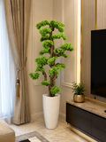 60 inch artificial bonsai tree in white pot placed in a luxury living room