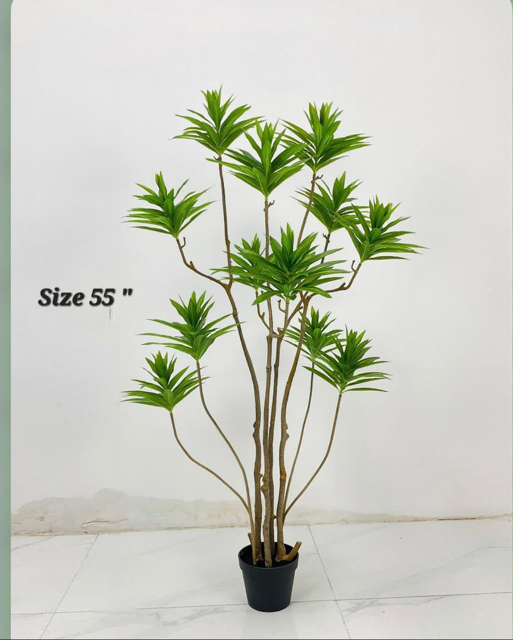 Cactus Snake Plant 55 inch - Green