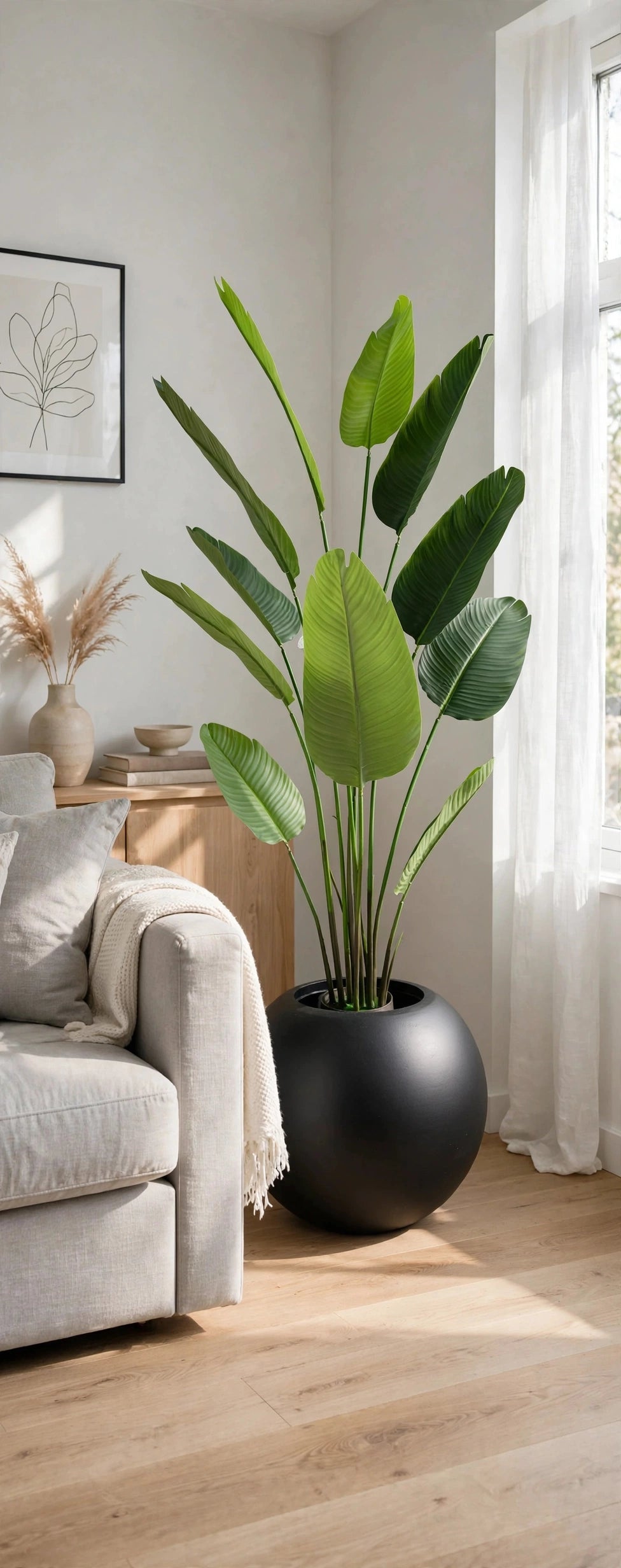 Artificial Banana Plant 72 Inch with Black Round Pot in Living Room