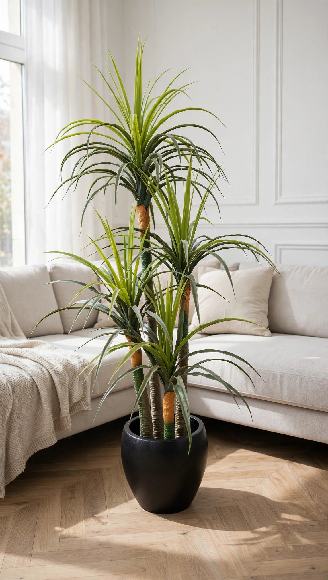 66-inch artificial aloe vera plant with premium matte black pot in a modern living room