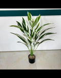 Artificial variegated tropical plant with green and white leaves in black pot