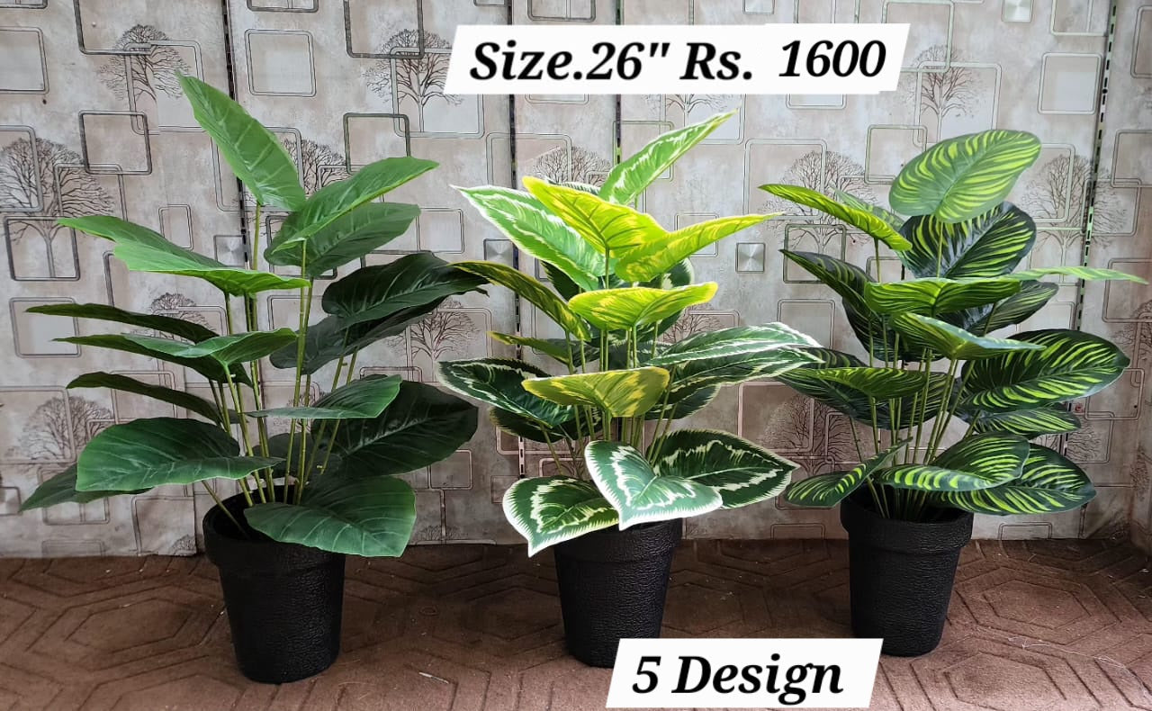 Three artificial indoor plants 26 inch in 5 designs with black pots – solid green, yellow-green variegated, and striped varieties
