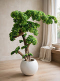 Artificial bonsai tree 43x66 inch with curved trunk in white ceramic pot – HM Decor