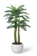 Artificial double trunk coconut palm tree 60 inch in white round pot – HM Decor