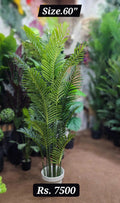 Artificial Areca Palm Plant 60 inch in white pot