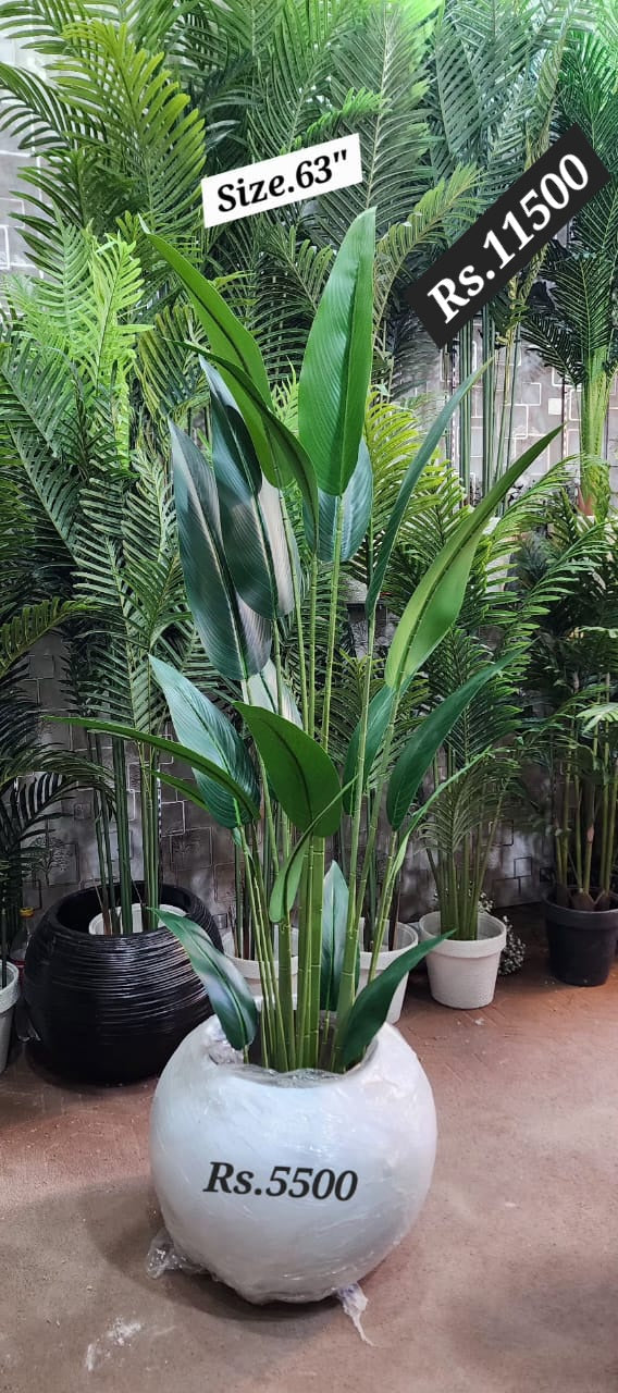 63 inch Artificial Bird of Paradise Plant with white round decorative pot – HM Decor