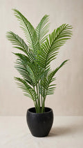55 inch Artificial Areca Palm Plant in black textured pot – HM Decor
