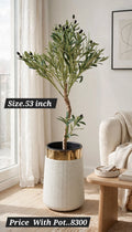 53 inch artificial olive tree with white and gold woven pot in a modern living room