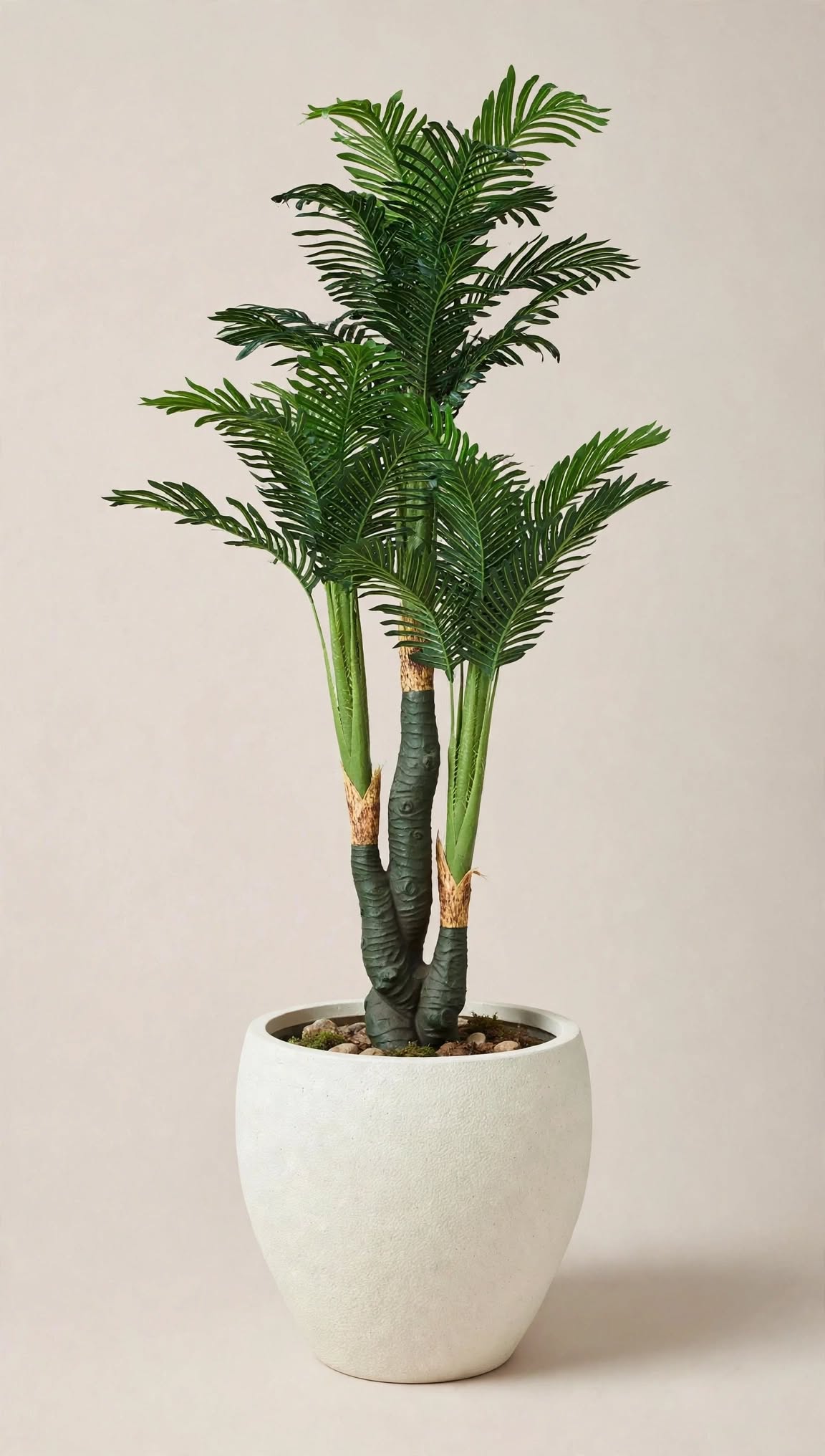 Artificial Areca Palm Plant in white textured round pot – side view