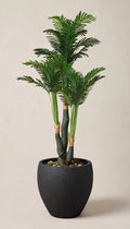 Artificial Areca Palm Plant in white textured round pot – HM Decor
