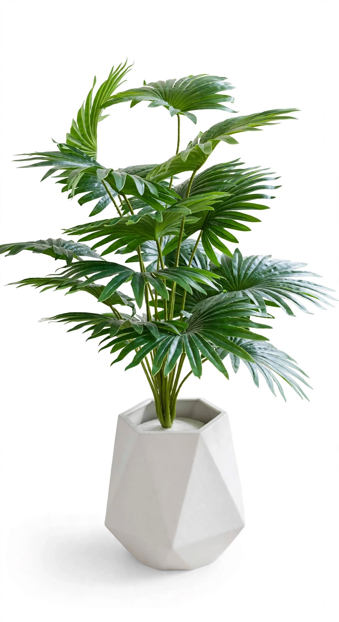 Artificial Fan Palm Plant 28 inch with white round pot in a modern living room