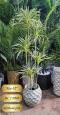 62 inch artificial Dracaena plant in decorative pot – front view with size and price label