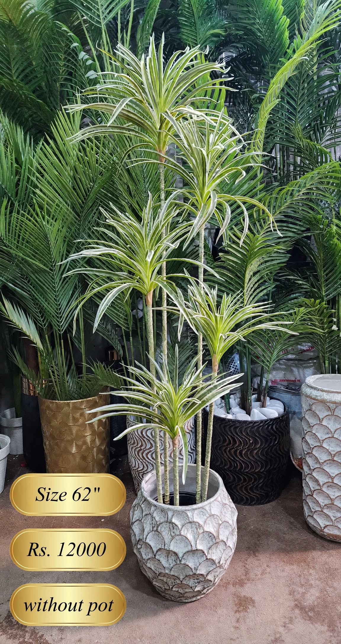 62 inch artificial Dracaena plant in decorative pot – front view with size and price label