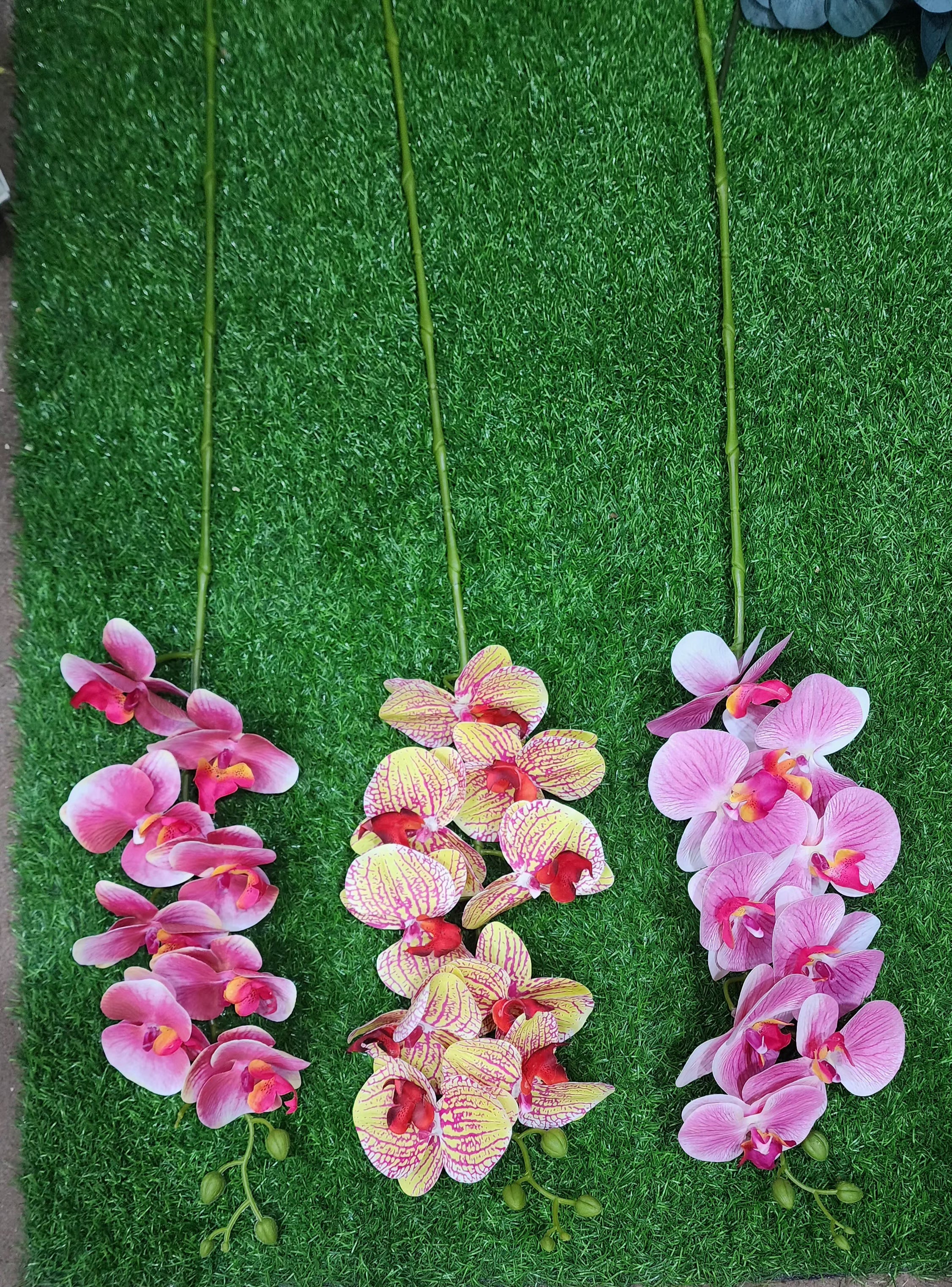 Artificial Orchid Stem 33 Inch | Premium Faux Phalaenopsis Flower