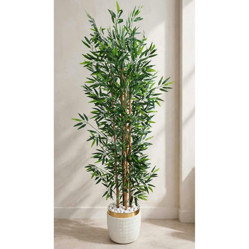Tall leafy decorative plant in a white textured pot with gold-toned rim