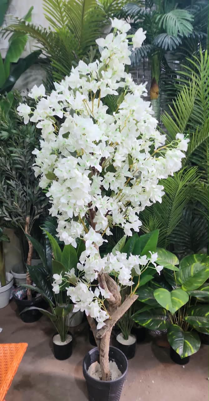 Artificial White Orchid Blossom Tree 65 inch in black planter