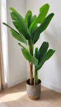 60 inch artificial banana plant with large green leaves and realistic trunk, without pot