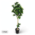 Artificial Bay Laurel Tree – 5 Feet Tall | Black Pot | Faux Indoor Decorative Tree