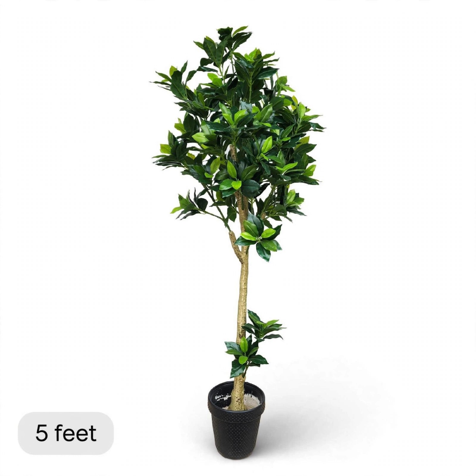 Artificial Bay Laurel Tree – 5 Feet Tall | Black Pot | Faux Indoor Decorative Tree
