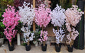 Artificial cherry blossom trees in pink and white colors