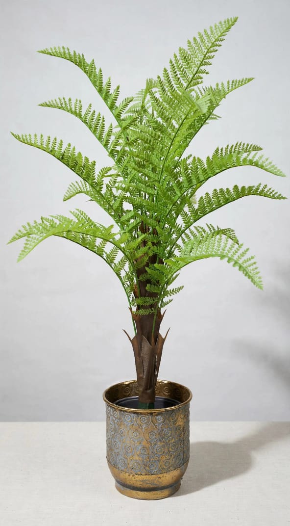 50 inch artificial fern plant in textured brass pot