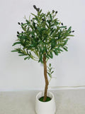 Artificial Olive Tree in White Ceramic Pot(without pot)