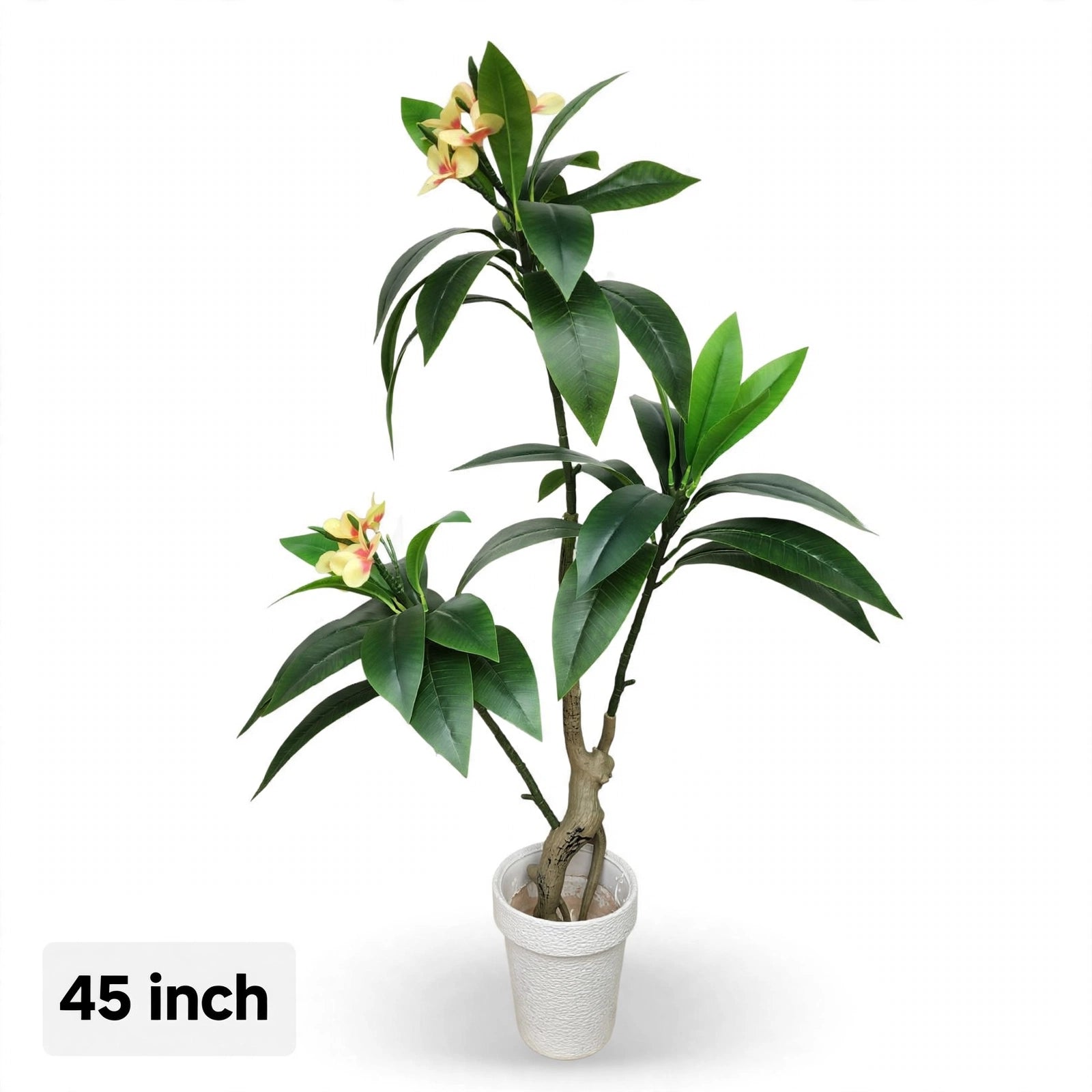 Artificial Plumeria Flowering Plant – 45 Inch Tall | White Pot | Faux Frangipani Decorative Plant