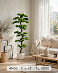 Artificial Bonsai Pine Tree 63 inch in white ceramic pot