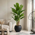 Large artificial banana leaf tree with multi-stem trunks in a matte black round pot styled in a luxury living room
