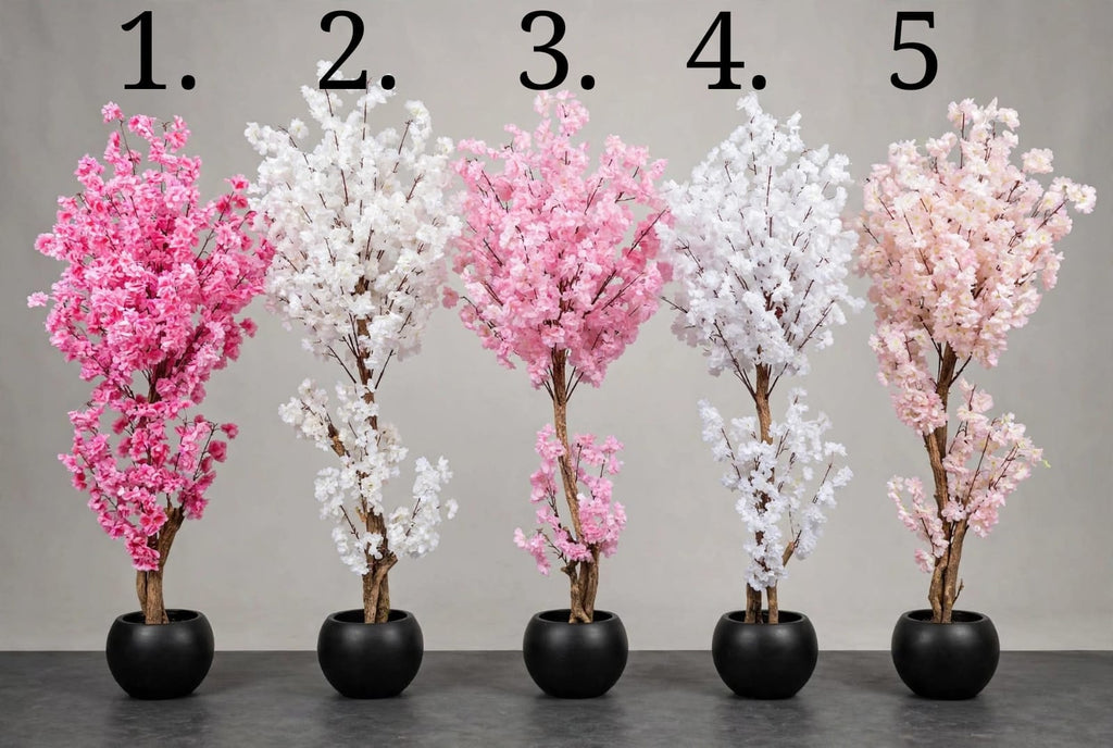 Cherry blossom tree color options 1 to 5