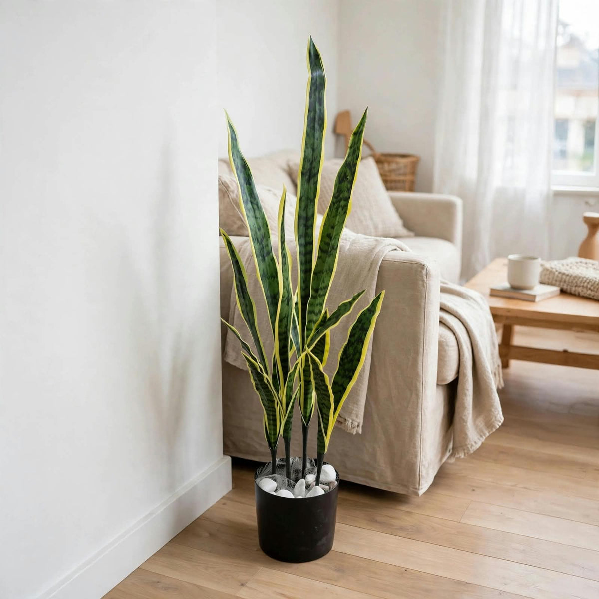 36-inch snake plant-style greenery pictured in a black pot