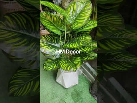 Artificial Indoor Plant 26 Inch – 5 Designs | Decorative Fake Plant with Pot