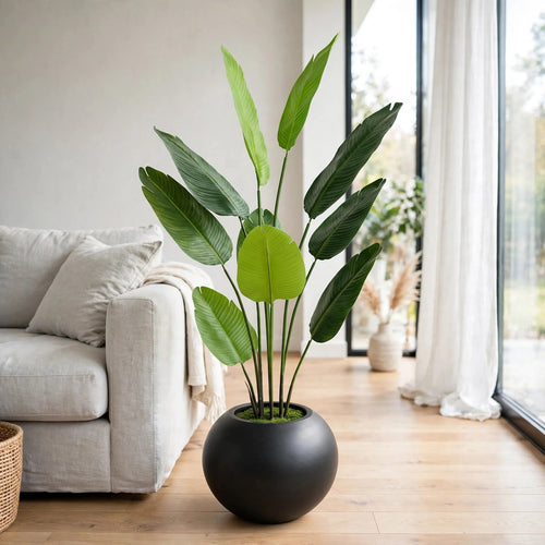 Artificial banana plant 60 inch with black round pot in modern living room