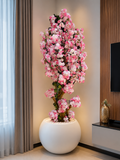 Blossom Plant